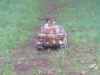 DSC00178.JPG (211289 Byte)